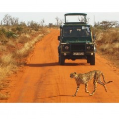 Op safari in Kenia