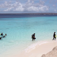Duiken op Bonaire